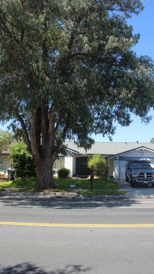 Mark'S Poolside Retreat Apartment San Jose Exterior photo