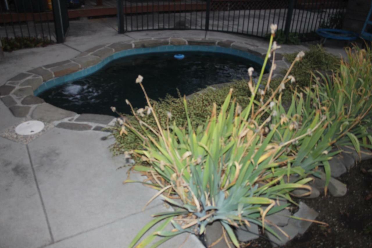 Mark'S Poolside Retreat Apartment San Jose Exterior photo